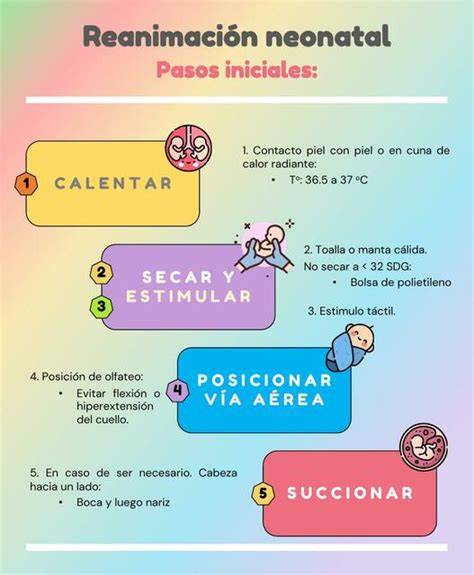 Esquema detallado de los pasos en la reanimación neonatal avanzada