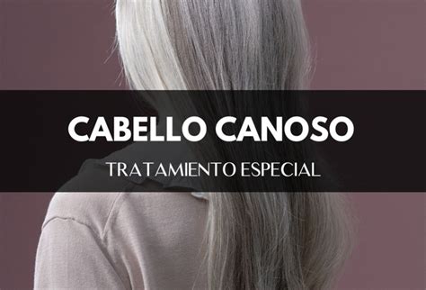 infografía con consejos de cuidado para cabello canoso