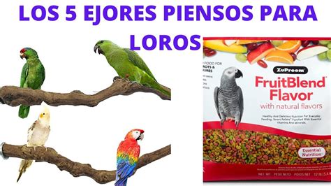 Infografía sobre los beneficios de los piensos extruidos para loros