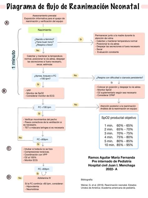 Esquema infográfico de la secuencia de reanimación cardiopulmonar neonatal