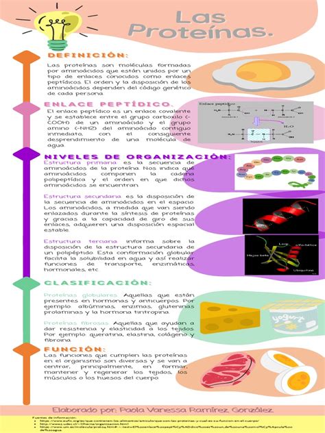 Infografía sobre las proteínas citoesqueléticas clave en el desarrollo y función del músculo, incluyendo distrofina, nebulina y desmina