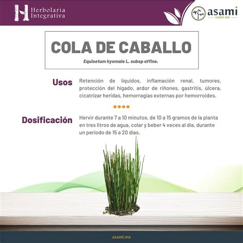 Infografía comparativa: Cola de caballo frente a pesticidas químicos, destacando su naturaleza biodegradable y respeto por la biodiversidad.