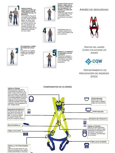 Infografía detallando el funcionamiento del arnés de cinco puntos de la silla de coche y cómo distribuye la fuerza de impacto.