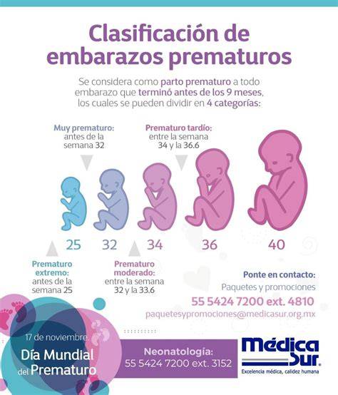 Infografía o esquema mostrando los diferentes diseños y características de la ropa para prematuros (aperturas, cierres, costuras).