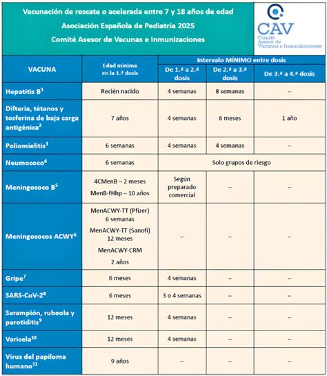 Esquema visual del calendario de vacunación infantil