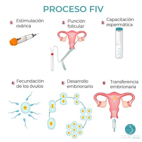 Esquema del proceso de FIV o PGT