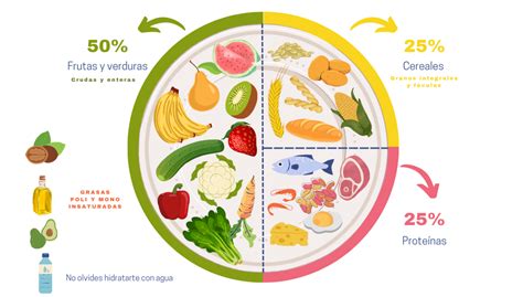 Imagen de un plato saludable para embarazadas con proporciones sugeridas de vegetales, proteínas y carbohidratos complejos