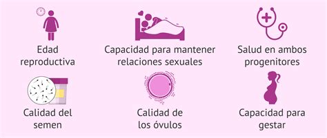 Esquema sobre los factores modificables y no modificables que influyen en la fertilidad humana