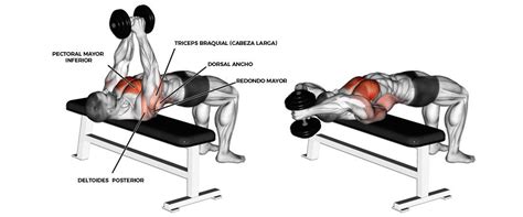 Ilustración del movimiento de pull-over con mancuernas