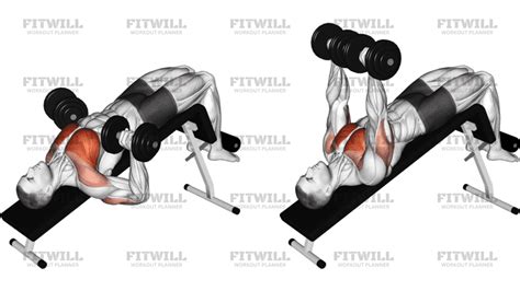 Infografía comparativa de ejercicios para el pecho: plano, inclinado y declinado