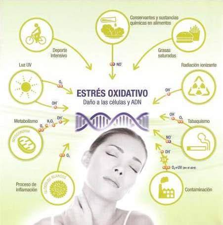 infografía sobre el estrés oxidativo y su efecto en la fertilidad femenina