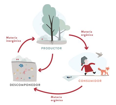 Gráfico ilustrativo sobre el ciclo de nutrientes en el suelo y la volatilización
