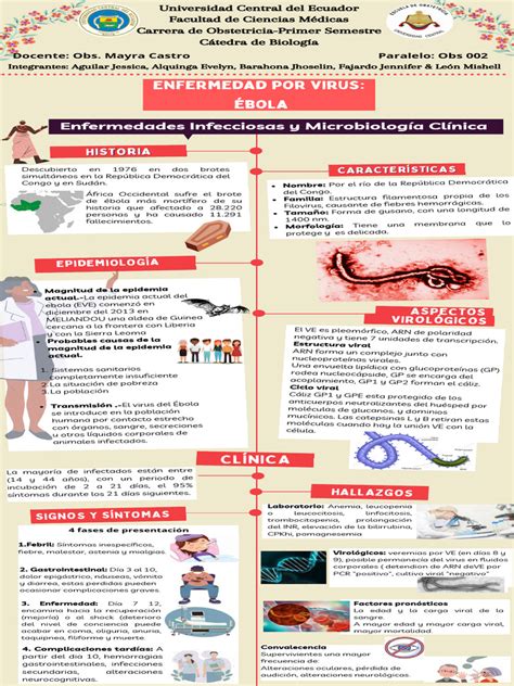 Infografía: Diagrama de las especialidades pediátricas disponibles