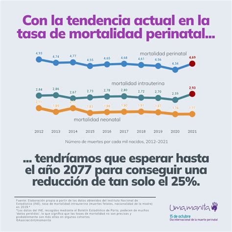 Infografía: Datos de mortalidad perinatal en España (2021)