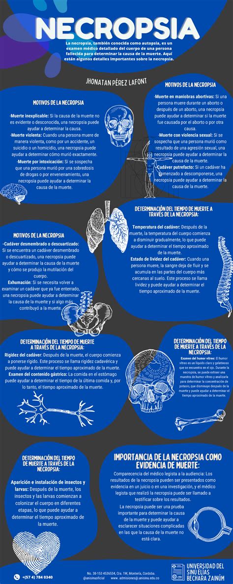 Infografía: Flujograma de la necropsia virtual radiológica fetal