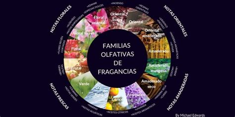 Infografía mostrando las diferentes notas olfativas de una colonia infantil (salida, corazón).