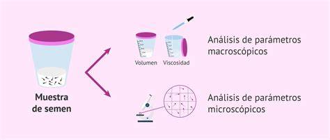 Gráfico comparativo de calidad de semen para donación vs. fertilidad natural