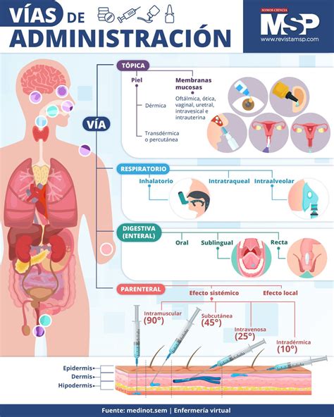 Infografía: Vías de administración del cannabis y sus riesgos asociados durante el embarazo y la lactancia.