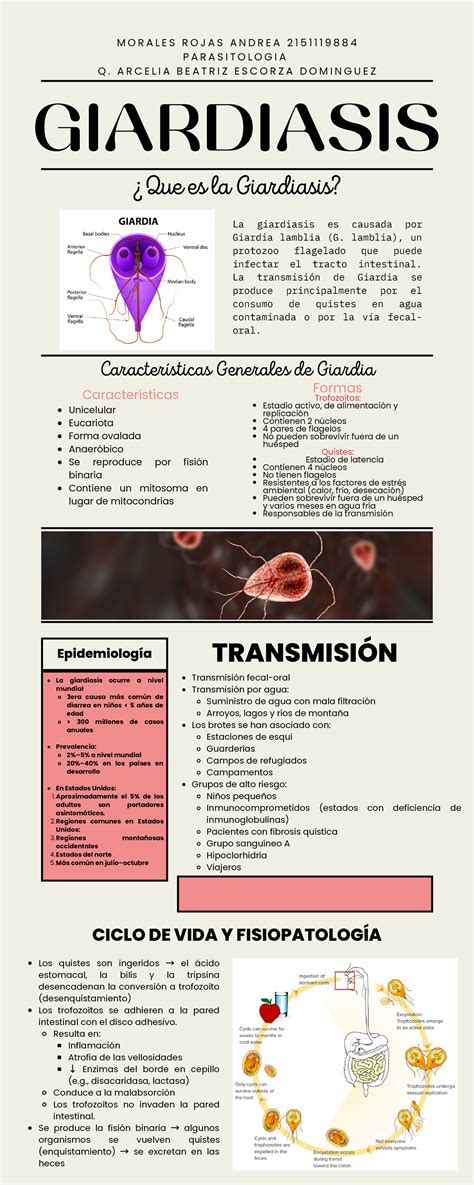 Infografía sobre la prevalencia y efectos de la giardiasis en niños
