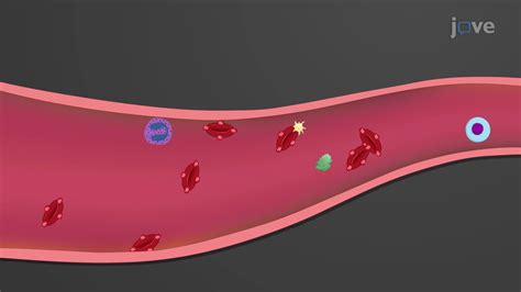 Gráfico de la resistencia vascular de la arteria uterina antes y después del tratamiento con L-arginina
