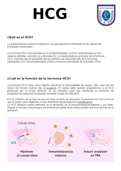 Esquema biológico de la hormona hCG: composición de las subunidades alfa y beta y su función en la implantación embrionaria.