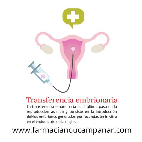 Representación esquemática de la transferencia embrionaria