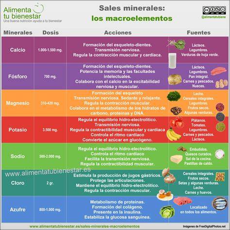 tabla comparativa de fuentes alimentarias ricas en vitaminas E, ácido fólico y omega-3