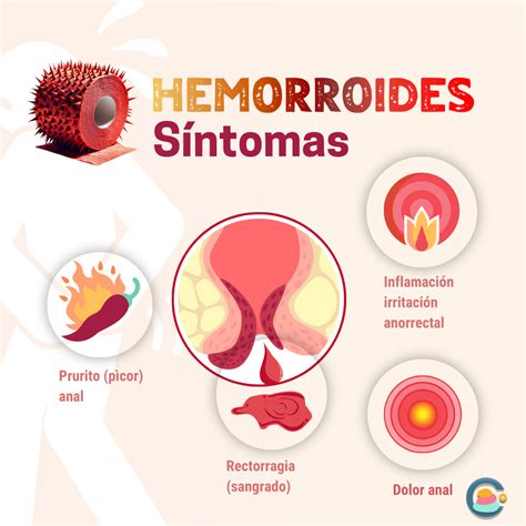 Infografía sobre los síntomas de alerta, destacando el sangrado indoloro y la necesidad de acudir a urgencias.