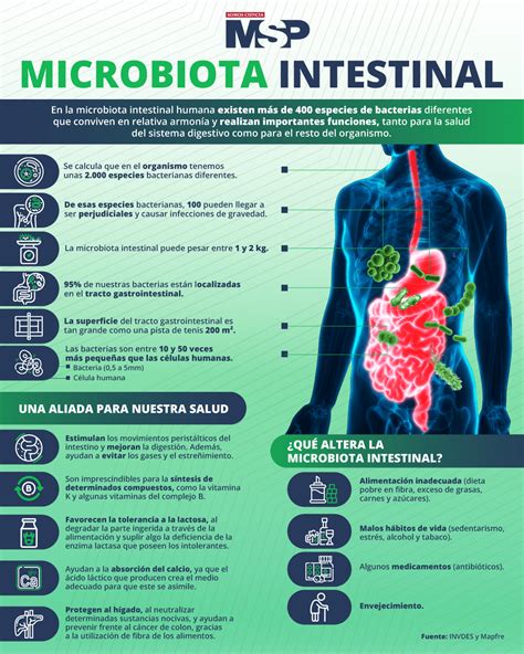 Infografía detallando la composición de Almirón Prosyneo y sus beneficios para la salud intestinal e inmunológica del bebé.