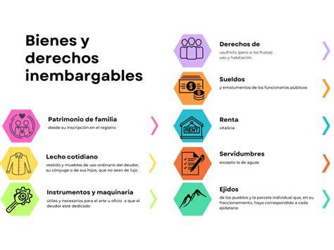 Infografía: Ayudas sociales inembargables según la legislación española