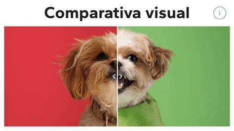 Comparativa visual de las opciones de póliza con y sin exceso (copago).