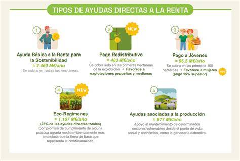 infografía sobre tipos de ayudas familiares en España
