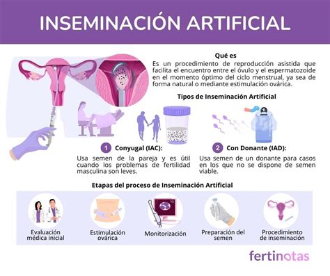 Esquema del proceso de inseminación artificial equina y control sanitario en centro especializado
