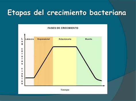 Gráfico de crecimiento bacteriano en la leche vs temperatura
