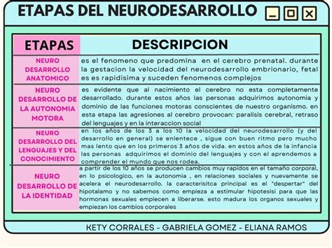 Esquema de las etapas del neurodesarrollo y controles médicos recomendados hasta la edad escolar.