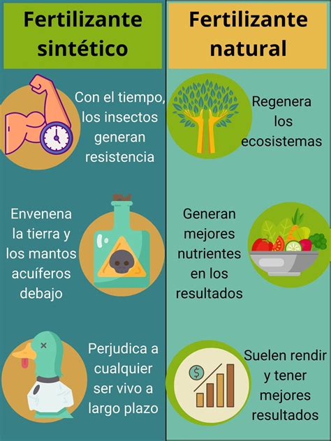 Infografía comparativa entre fertilizantes orgánicos y sintéticos