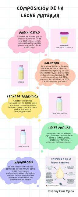 Infografía sobre la variación de la composición de la leche materna