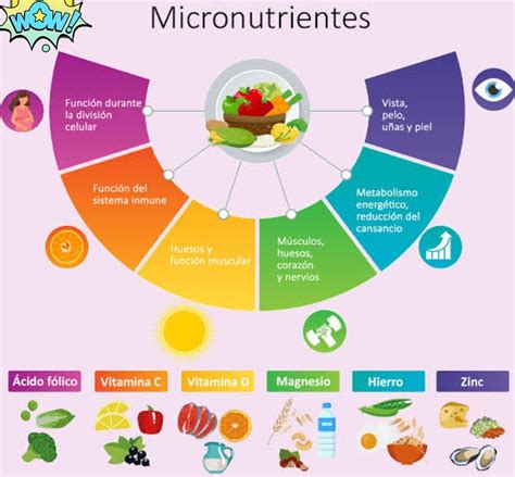Infografía detallando los macro y micronutrientes esenciales para el manzano y sus funciones.