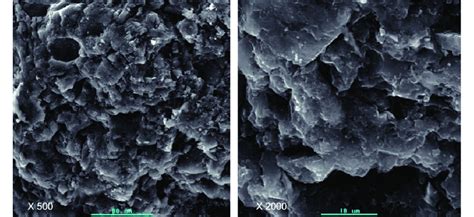 Micrografía de partículas de carbón en una muestra de Terra Preta.