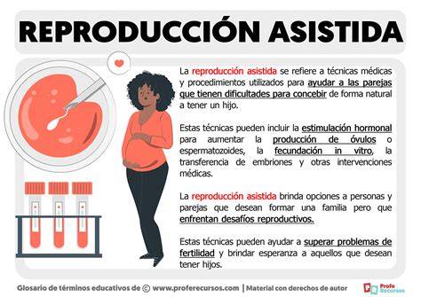 Infografía que detalla el cronograma de intentos de reproducción asistida y el proceso de gestación subrogada de Tamara Gorro