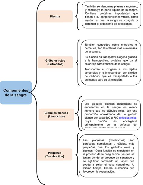 esquema de los componentes de la fórmula Pronutra