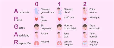 Gráfico explicativo de la puntuación de Apgar y sus parámetros