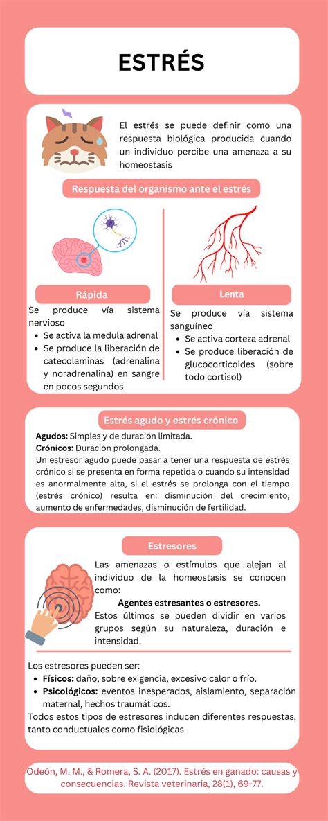 Infografía sobre los efectos del estrés oxidativo en neonatos prematuros