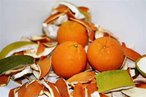 Compostera o abono de cáscaras de cítricos listo para usar, con plantas saludables alrededor.