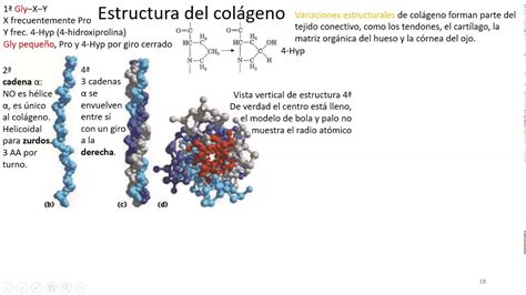 Representación esquemática de la estructura del colágeno normal versus colágeno defectuoso en OI