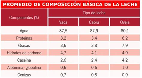 Esquema comparativo de composición nutricional entre leche de vaca y bebidas vegetales