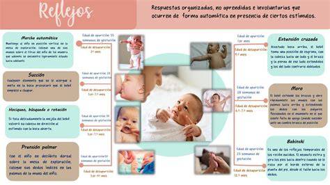Infografía mostrando la evolución de los reflejos y el control motor de las manos en bebés