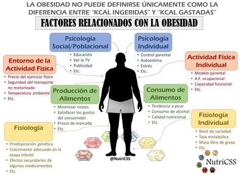Esquema o diagrama sobre los factores relacionados con el SMSL