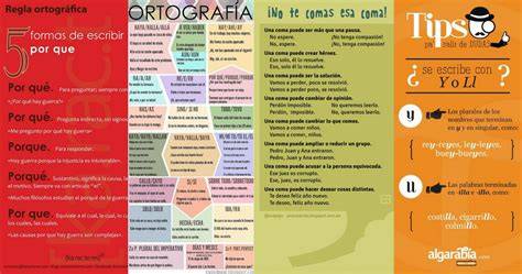 infografia sobre reglas de ortografia basica o categorias gramaticales