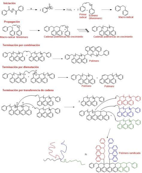 Esquema de la reacción del colágeno del calamar a diferentes temperaturas